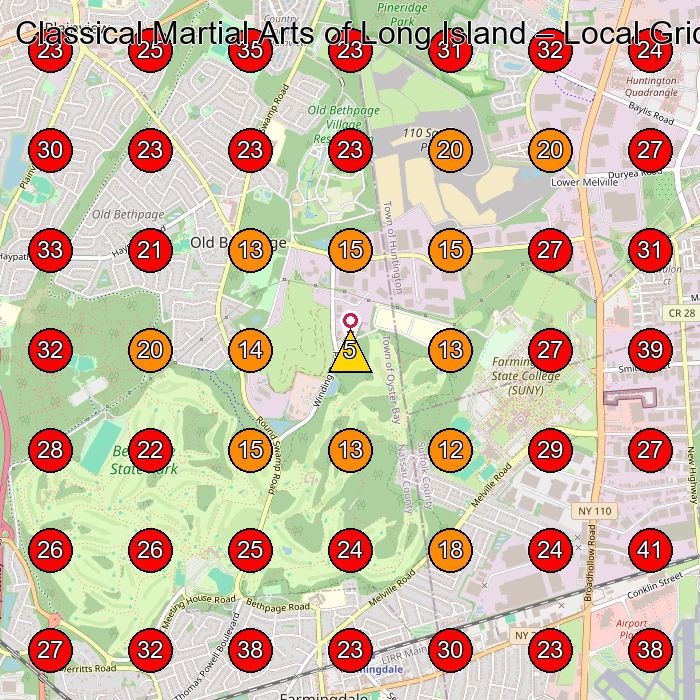 Classical Martial Arts of Long Island GeoGrid visibility map for Martial Arts School in Plainview